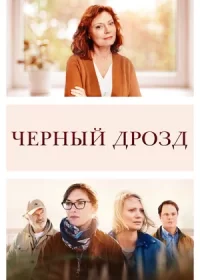 постер к Чёрный дрозд (2019)