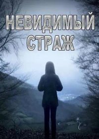 постер к Невидимый страж (2017)