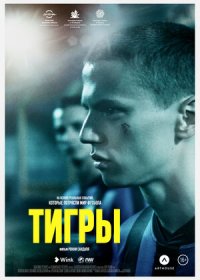 постер к Тигры (2020)