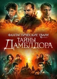 постер к Фантастические твари: Тайны Дамблдора (2022)