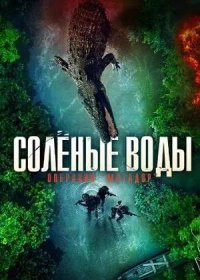 постер к Солёные воды: Операция «Матадор» (2021)