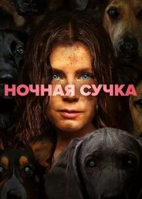 постер к Ночная сучка (2024)