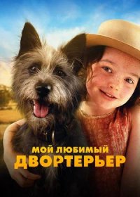 постер к Мой любимый двортерьер (2024)