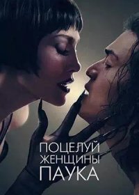 постер к Поцелуй женщины-паука (2025)