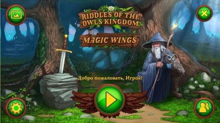 постер к Riddles of the Owls Kingdom 2: Magic Wings (2018)