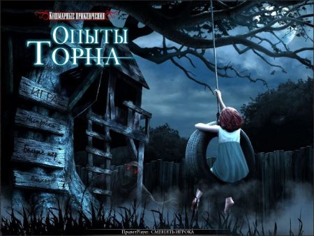 постер к Кошмарные приключения. Опыты Торна (2013)