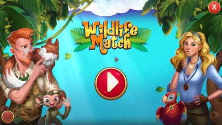 постер к Wildlife Match (2021)