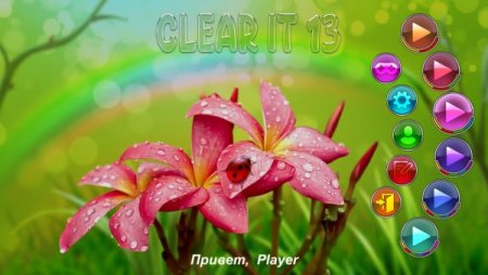 постер к Clear It 13 (2021)