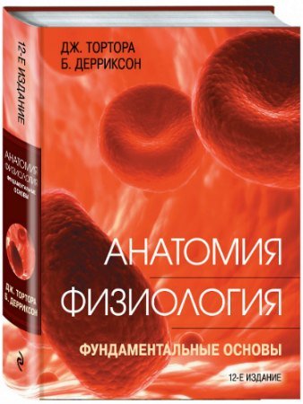 постер к Анатомия. Физиология. Фундаментальные основы