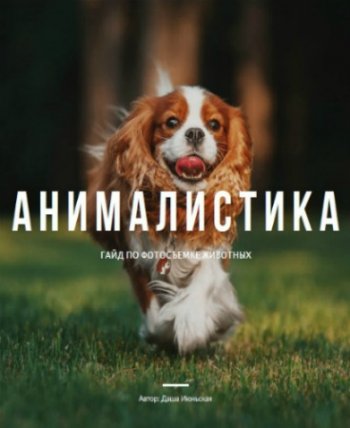 постер к Анималистика - Гайд по фотосъемке животных (2020) PDF