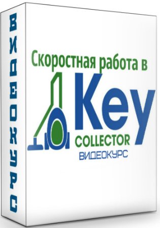 Скоростная работа в KeyCollector + Бонусы (2020) Видеокурс