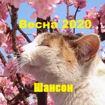 постер к Весна 2020. Шансон (2020) MP3