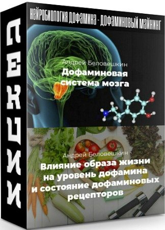 постер к Нейробиология дофамина - Дофаминовый майнинг (2020) Лекции