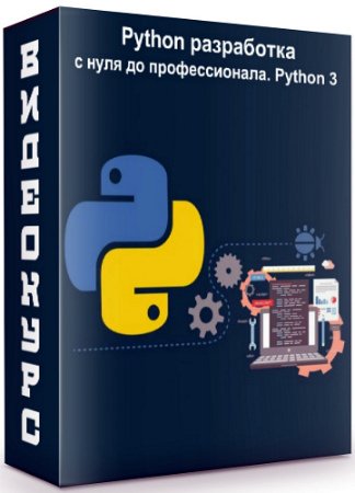 постер к Python разработка - с нуля до профессионала. Python 3 (2020) Видеокурс