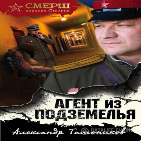 постер к Александр Тамоников - Агент из подземелья (Аудиокнига)