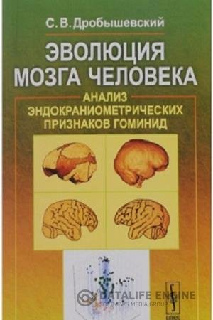 постер к Эволюция мозга человека. Анализ эндокраниометрических признаков гоминид