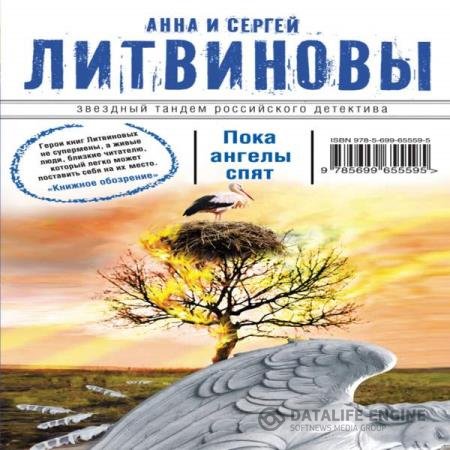 постер к Литвинова Анна, Литвинов Сергей - Пока ангелы спят (Аудиокнига) читает Пуолакайнен Бруно