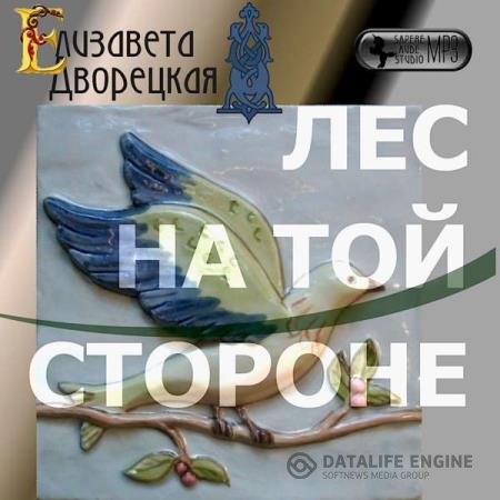 постер к Елизавета Дворецкая - Лес на той стороне (Аудиокнига) читает Беляева Наталья