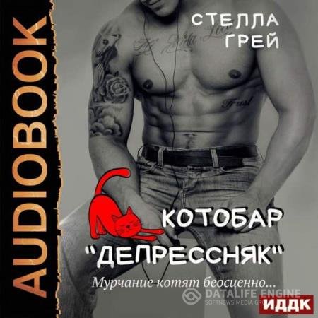 постер к Стелла Грей - Котобар «Депрессняк» (Аудиокнига)