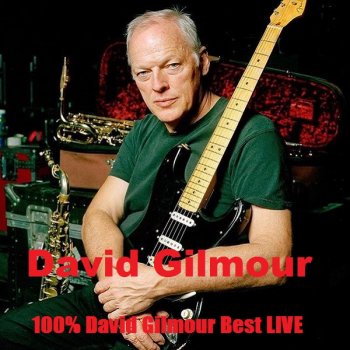 постер к David Gilmour - 100% David Gilmour Best LIVE (2020) MP3