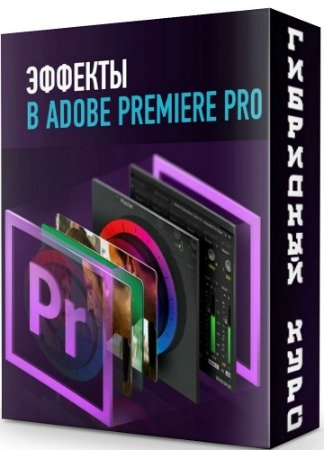 постер к Эффекты Adobe Premiere Pro - Гибридный курс (2020) PCRec