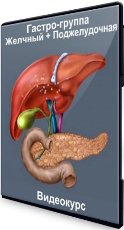 Гастро-группа: Желчный + Поджелудочная (2020) Видеокурс