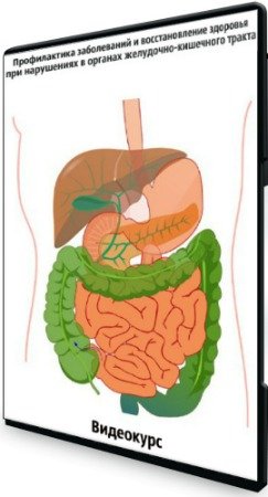 Профилактика заболеваний и восстановление здоровья при нарушениях в органах желудочно-кишечного тракта (2019) Видеокурс