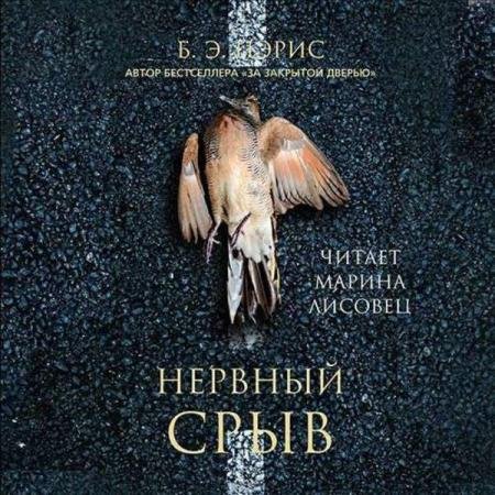 Бернадетт Энн Пэрис - Нервный срыв (Аудиокнига)