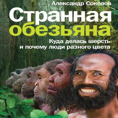 постер к Александр Соколов - Странная обезьяна. Куда делась шерсть и почему люди разного цвета (Аудиокнига)