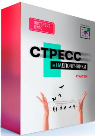 постер к Стресс и надпочечники - Первая Школа Биохакинга (2020) Видеокурс