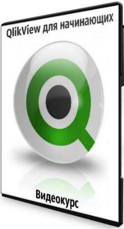 QlikView для начинающих (2020) Видеокурс