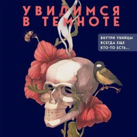 постер к Виктория Платова - Увидимся в темноте (Аудиокнига)