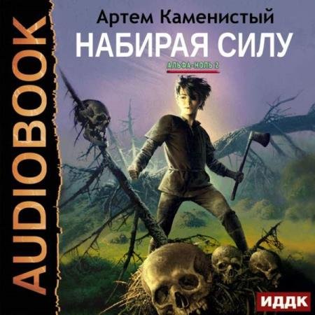 постер к Артем Каменистый - Набирая силу (Аудиокнига)