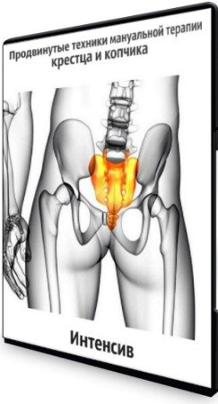 постер к Продвинутые техники мануальной терапии крестца и копчика (2020) Интенсив