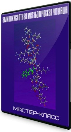 постер к Аминокислотная метаболическая регуляция (2020) Мастер-класс