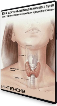 постер к Как достичь оптимального веса путем восстановления иннервации щитовидной железы (2020) Интенсив
