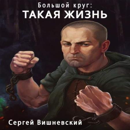 постер к Сергей Вишневский - Такая жизнь (Аудиокнига)