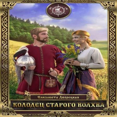 постер к Елизавета Дворецкая - Колодец старого волхва (Аудиокнига)