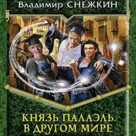 постер к Владимир Снежкин - Князь Палаэль. В другом мире (Аудиокнига)