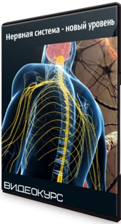 постер к Нервная система - новый уровень (2020) Видеокурс