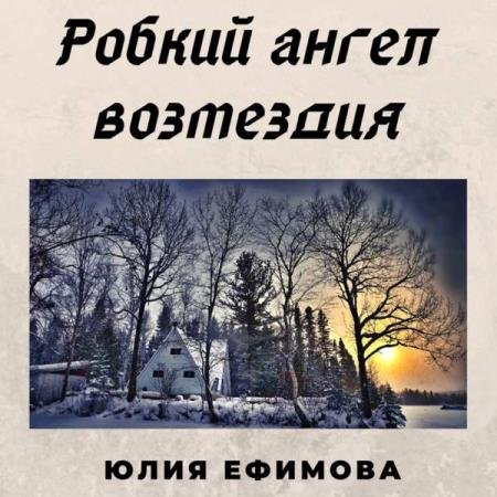 постер к Юлия Ефимова - Робкий ангел возмездия (Аудиокнига)