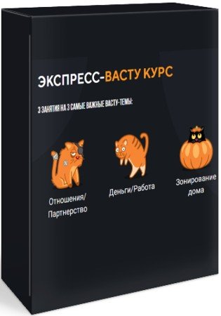 постер к Экспресс-васту курс (2021) CAMRip