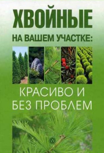 постер к Хвойные на вашем участке. Красиво и без проблем