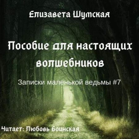 постер к Елизавета Шумская - Пособие для настоящих волшебников (Аудиокнига)