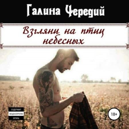 постер к Галина Чередий - Взгляни на птиц небесных (Аудиокнига)