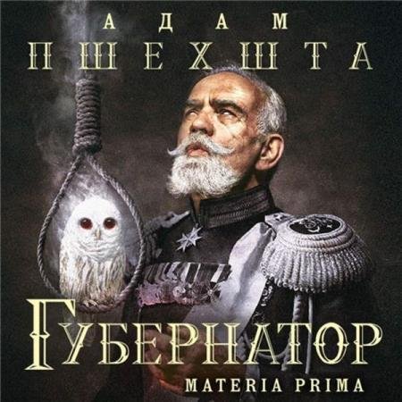 постер к Адам Пшехшта - Губернатор (Аудиокнига)