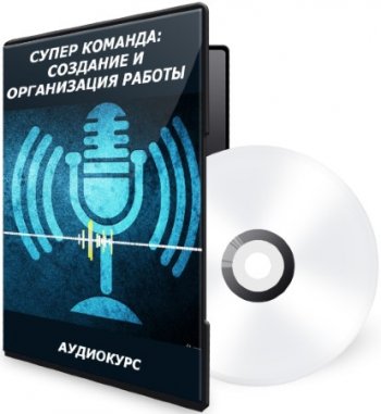 постер к Супер Команда: создание и организация работы (Аудиокурс)