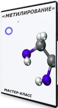 постер к «Метилирование» (2021) Мастер-класс
