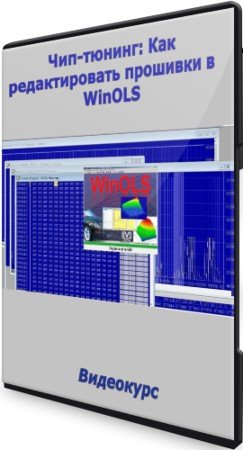 постер к Чип-тюнинг: Как редактировать прошивки в WinOLS (2021) Видеокурс