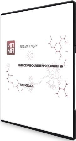 постер к Нейропсихология. Видеолекции (2021) CAMRip